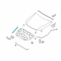 OEM 2015 Hyundai Equus Lifter-Hood, LH Diagram - 81161-3N001