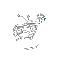 OEM 2003 Nissan Maxima Bulb Diagram - 26261-04W00