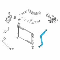 OEM 2017 Hyundai Santa Fe Sport Hose-Radiator Lower Diagram - 25412-2W700