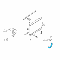 OEM 2004 Infiniti Q45 Hose-Radiator, Lower Diagram - 21503-AR000