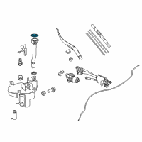 OEM Lexus Cap, Washer, A Diagram - 85316-24071