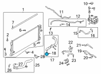 OEM Ford Bronco Upper Hose Clamp Diagram - -W527394-S444