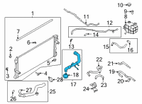 OEM 2022 Ford Bronco HOSE - RADIATOR Diagram - MB3Z-8260-E