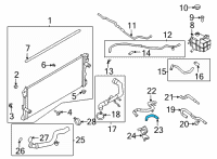 OEM Ford Bronco HOSE ASY Diagram - MB3Z-8A577-A