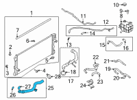 OEM 2021 Ford Bronco HOSE - RADIATOR Diagram - MB3Z-8286-E