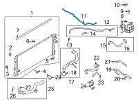 OEM 2022 Ford Bronco HOSE - OVERFLOW Diagram - MB3Z-8075-B