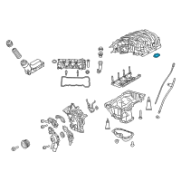 OEM 2017 Jeep Wrangler Gasket-Intake PLENUM Diagram - 5184562AC