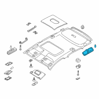 OEM 2019 Ford EcoSport Reading Lamp Assembly Diagram - ET7Z-13776-A