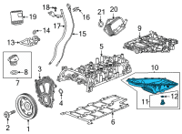 OEM Cadillac CT5 Oil Pan Diagram - 55511564