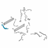 OEM Ford Police Interceptor Utility Lower Hose Diagram - L1MZ-8286-N