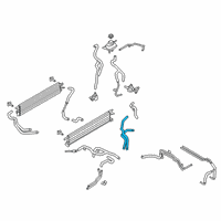 OEM 2021 Ford Police Interceptor Utility Lower Hose Diagram - L1MZ-8286-C