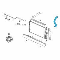 OEM 2003 Saturn Ion Radiator Outlet Hose (Lower) Diagram - 22682481