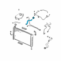 OEM 1998 Oldsmobile Silhouette Hose Assembly Assembly-Radiator Outlet Diagram - 10433814