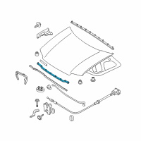 OEM 2009 Ford Escape Front Weatherstrip Diagram - 8L8Z-16B990-A