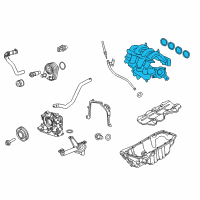 OEM 2015 Ford Fiesta Intake Manifold Diagram - CN1Z-9424-A