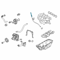 OEM Ford Fiesta Dipstick Diagram - BE8Z-6750-B