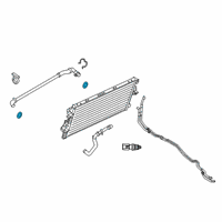OEM Ford Outlet Tube Seal Diagram - FL3Z-8590-B