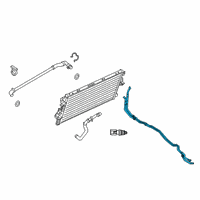 OEM 2021 Ford F-250 Super Duty Lower Hose Diagram - HC3Z-9P923-A