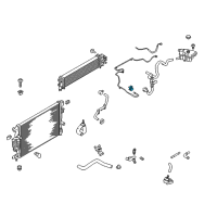 OEM Ford Maverick Hose Assembly Clamp Diagram - -W527301-S444