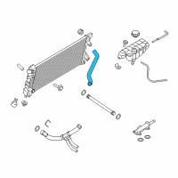 OEM Ford F-150 Upper Hose Diagram - HL3Z-8260-A
