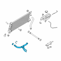 OEM 2016 Ford F-150 Lower Hose Diagram - HL3Z-8286-B