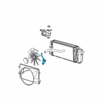 OEM 2001 Ford F-150 Lower Hose Diagram - F75Z8286JD