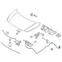 OEM 2022 Ford Transit Connect Release Cable Diagram - DT1Z-16916-E