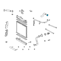 OEM 2005 Toyota Echo Lower Hose Clamp Diagram - 90467-33006