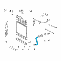 OEM 2000 Toyota Echo Lower Hose Diagram - 16572-21020