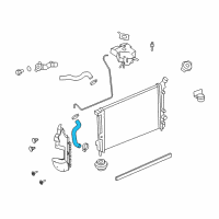 OEM 2005 Pontiac Montana Radiator Outlet Hose (Lower) Diagram - 19129861