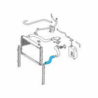 OEM Toyota Tacoma Lower Hose Diagram - 16572-07040