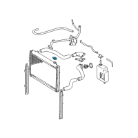 OEM 2000 Toyota Tacoma Radiator Cap Diagram - 16401-0C010