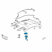 OEM 2009 Chevrolet Cobalt Lamp Asm-Dome Diagram - 22736097