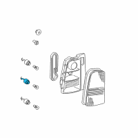 OEM Scion xB Socket Diagram - 81565-52100