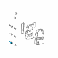 OEM Scion Socket Diagram - 81555-52110