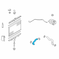 OEM 2010 Nissan Rogue Hose-Radiator, Lower Diagram - 21503-JG300