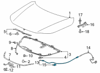 OEM 2022 Honda Civic WIRE ASSY-, FR- HOOD Diagram - 74131-T20-A01