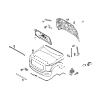 OEM Ford F-250 Super Duty Extension Diagram - BC3Z-16916-B