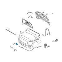 OEM Ford F-250 Super Duty Latch Diagram - BC3Z-16700-A