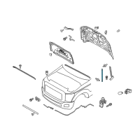 OEM Ford Lift Cylinder Diagram - BC3Z-16C826-A