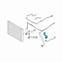 OEM 2010 BMW M6 Radiator Coolant Hose Lower Right Diagram - 11-53-7-836-569
