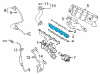 OEM 2022 BMW 330e Exhaust Manifold Gasket Diagram - 11-62-8-642-774