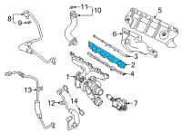OEM 2021 BMW 330e Exhaust Manifold Gasket Diagram - 11-62-8-642-774