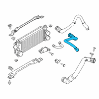 OEM 2016 Ford F-150 Lower Hose Diagram - FL3Z-6C646-C