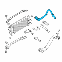 OEM 2019 Ford F-150 Upper Hose Diagram - FL3Z-6C646-D