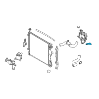 OEM Lexus LS500h Hose, Radiator To Reserve Diagram - 16567-31050