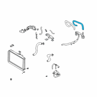 OEM Lexus Hose, Water Diagram - 87245-3F430