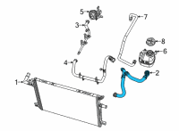 OEM 2018 Jeep Wrangler Hose-Radiator Inlet Diagram - 68335904AD