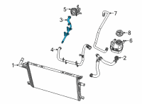 OEM 2021 Jeep Wrangler Hose-Radiator Outlet Diagram - 68335897AC