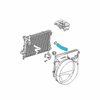 OEM 2006 Dodge Ram 1500 Hose-Radiator Outlet Diagram - 55056982AF